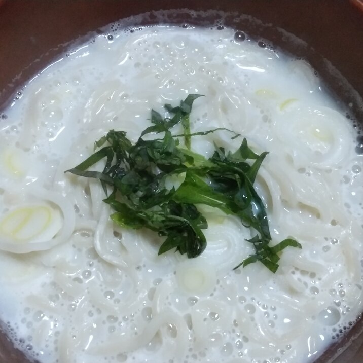 胃に優しい☆豆乳うどん